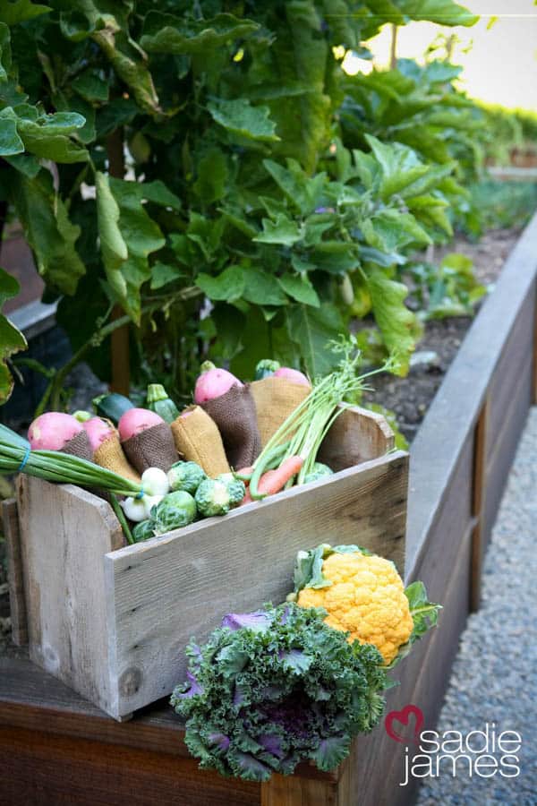 A wooden box of fall vegetables sitting on the corner of a raised vegetable planter.