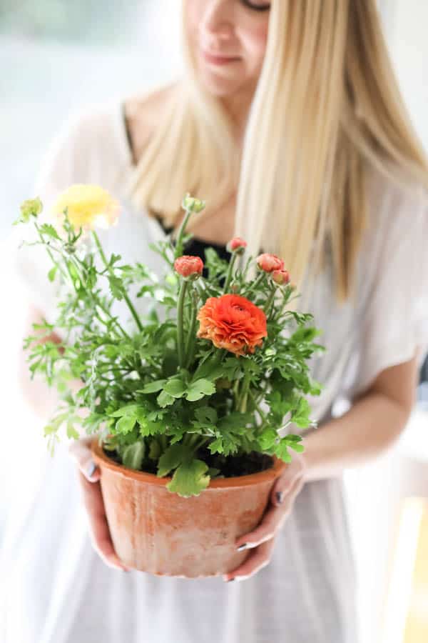 Woman holding a small planter with spring flowers. 