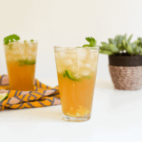 Mexican Mule Recipe with Jalapeno