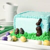 Chocolate Easter Bunny Cake
