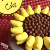Sunflower Peeps Cake Recipe with Homemade Chocolate Frosting