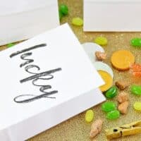 St. Patrick’s Day Party Ideas – DIY Printed Favor Bags
