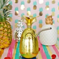 Raspberry & Pineapple Slushie Cocktail Recipe