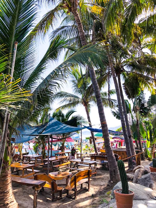 palm tree enclosed seating area of a beach restaurant in Sayulita.