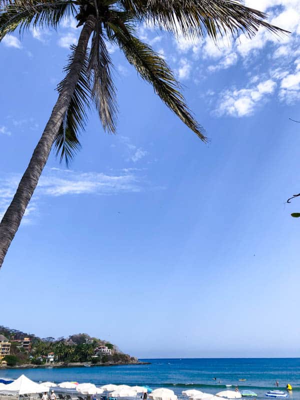 a beach in Sayulita with a palm tree and clouds in the sky.