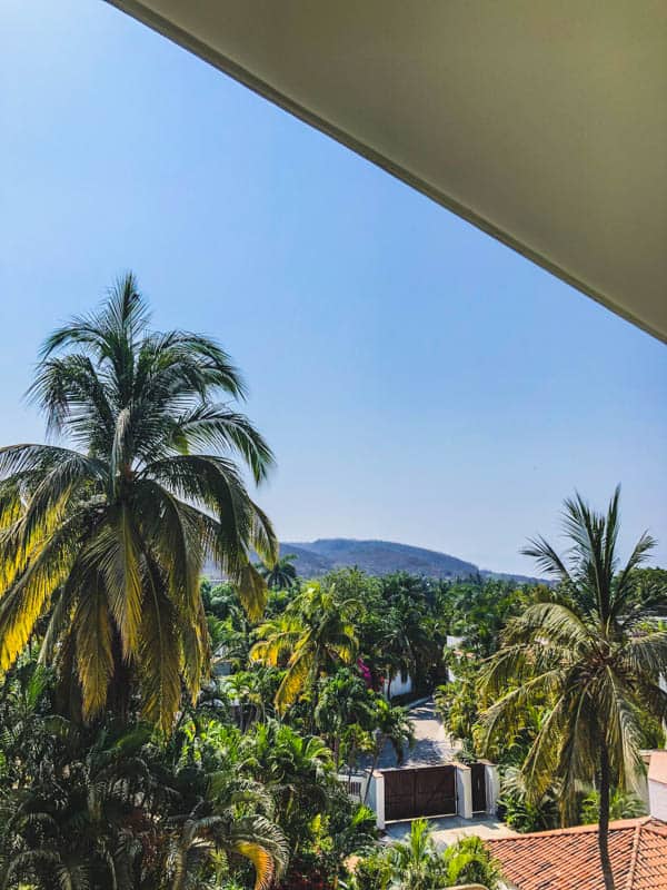 a treetop view of palm trees with a mountain and blue skies behind it.