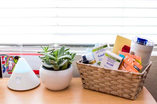 A basket of toiletries on a desk next to a succulent and oil diffuser