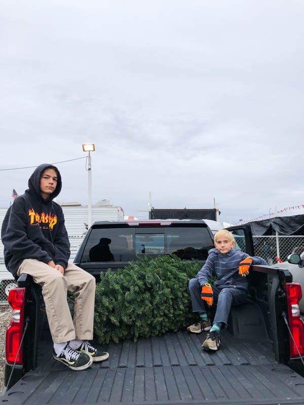 Boys sitting in the bed of a truck by a christmas tree.
