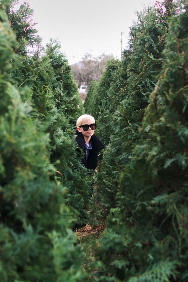 Boy in sunglasses in christmas trees.