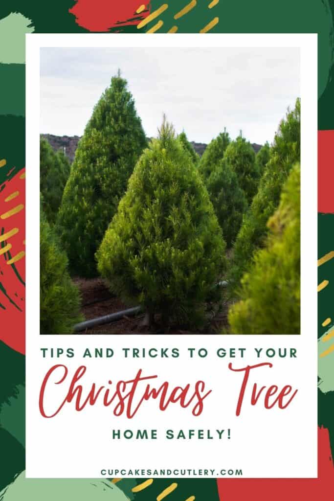 Image contains trees in a Christmas tree lot and text reads, "Tips and Tricks to Get Your Christmas Tree Home Safely!".