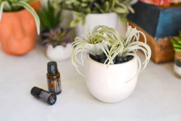 A lava rock diffuser on a table next to essential oils.