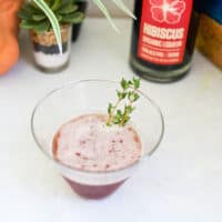 refreshing hibiscus martini recipe in a stemless martini glass on a table