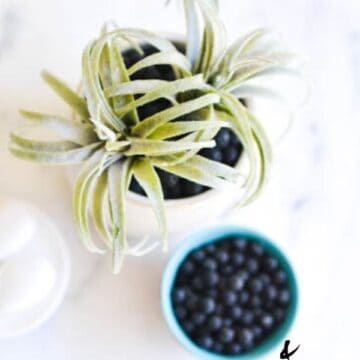 Overhead of a diy diffuser with a faux succulent.