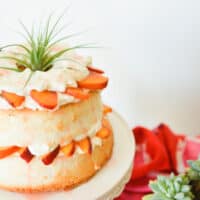 close up of angel food cake sliced in the middle and layered with whipped cream and gingered peaches