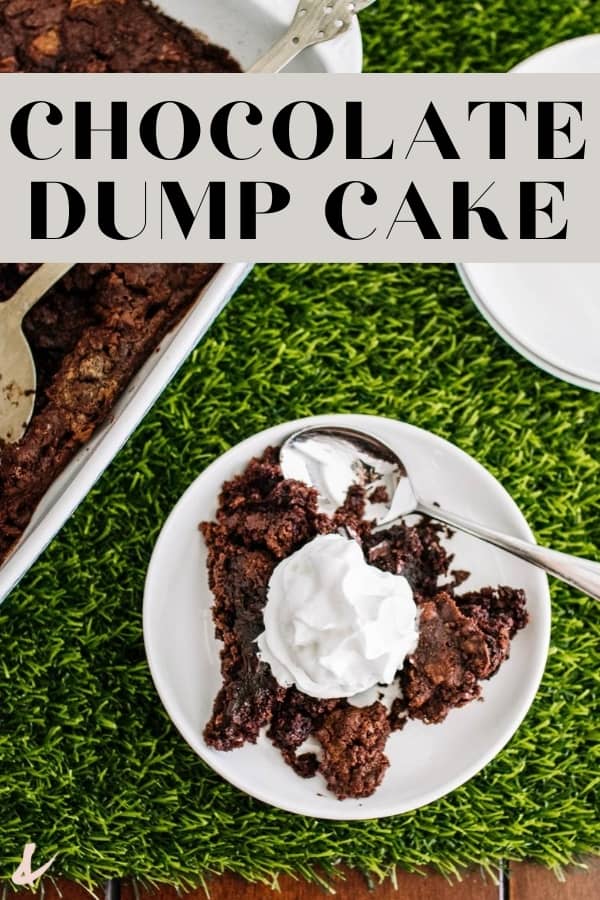 Plate with a serving of chocolate dump cake on a faux grass table runner with text overlay.