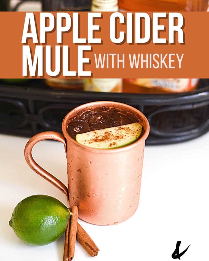 Copper mug with Apple Cider Mule with a slice of apple as a garnish and a lime and cinnamon sticks on the table next to it.