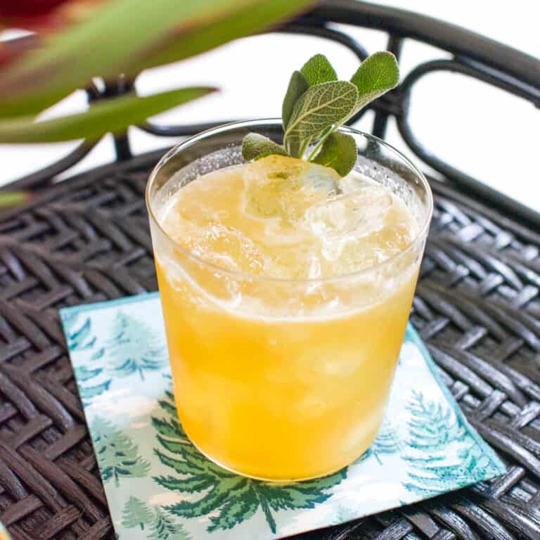 Close up of an apple bourbon cocktail