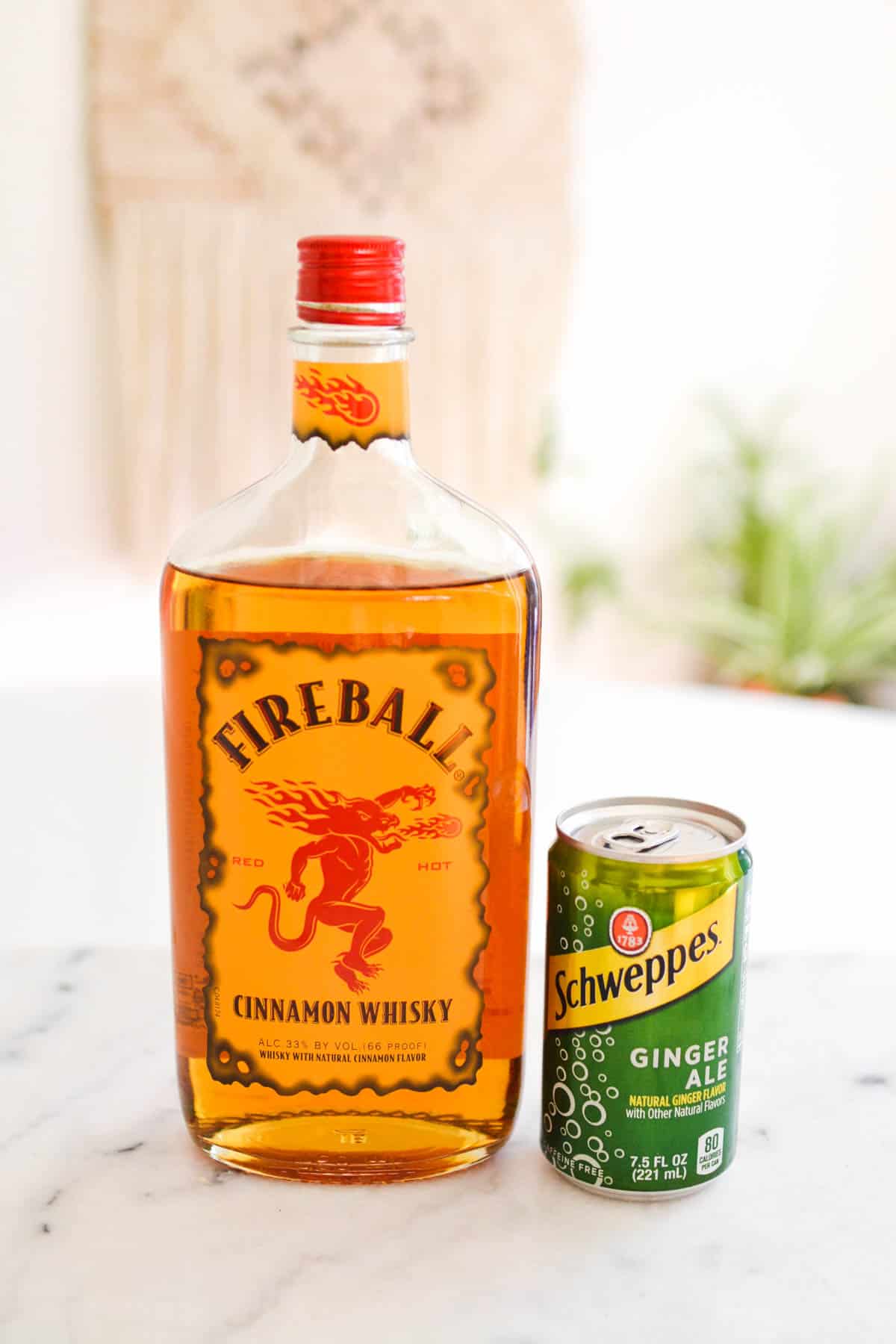 Bottle of Fireball Whiskey and a small can of ginger ale.