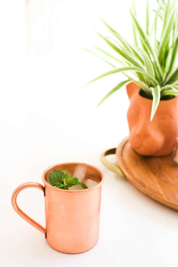 A copper Moscow Mule mug on a table with a terra cotta planter in the background.