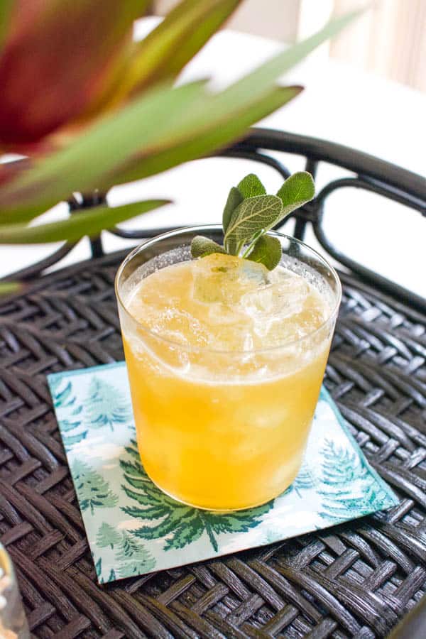 Close up of a cocktail glass with an apple bourbon cocktail in it.