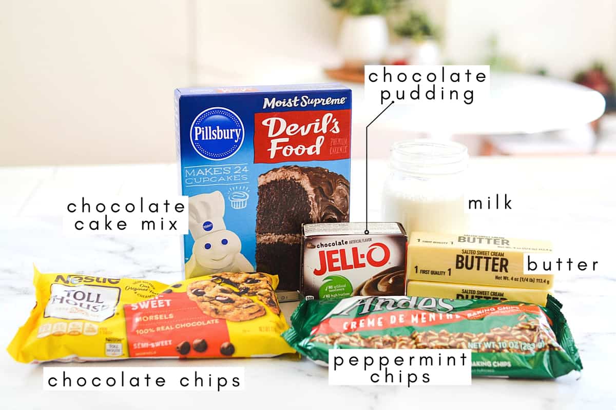 Labeled ingredients needed to make a Chocolate Peppermint Dump Cake.