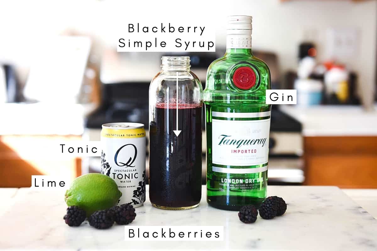 Labeled ingredients to make blackberry gin and tonic recipe.