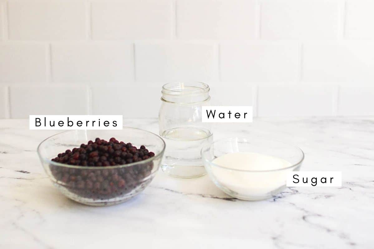 Labeled ingredients to make homemade simple syrup with blueberries.