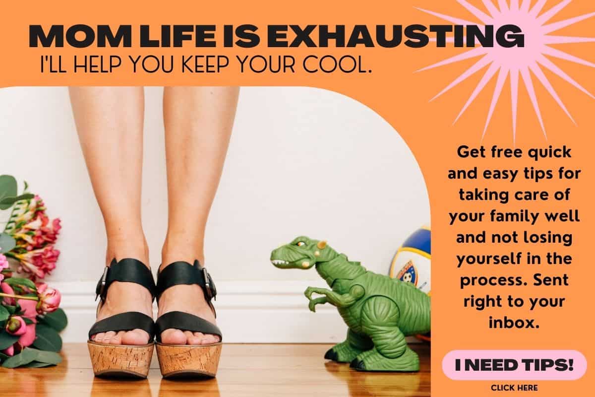 Mom blogger newsletter opt in with a woman's legs in sandals next to flowers and a toy dinosaur. 