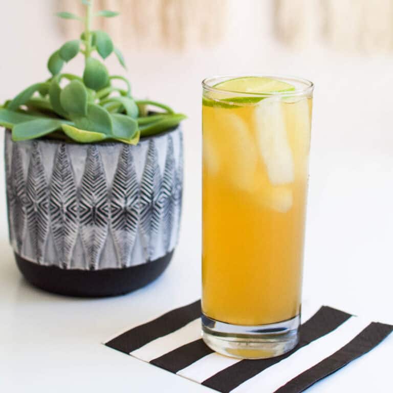 Rum and Ginger Beer [Dark and Stormy Drink Recipe]