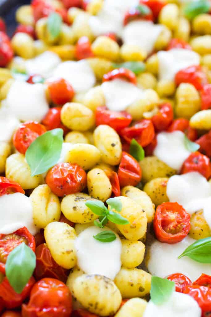 Close up of cherry tomatoes, gnocchi, melted mozzarella and fresh basil.