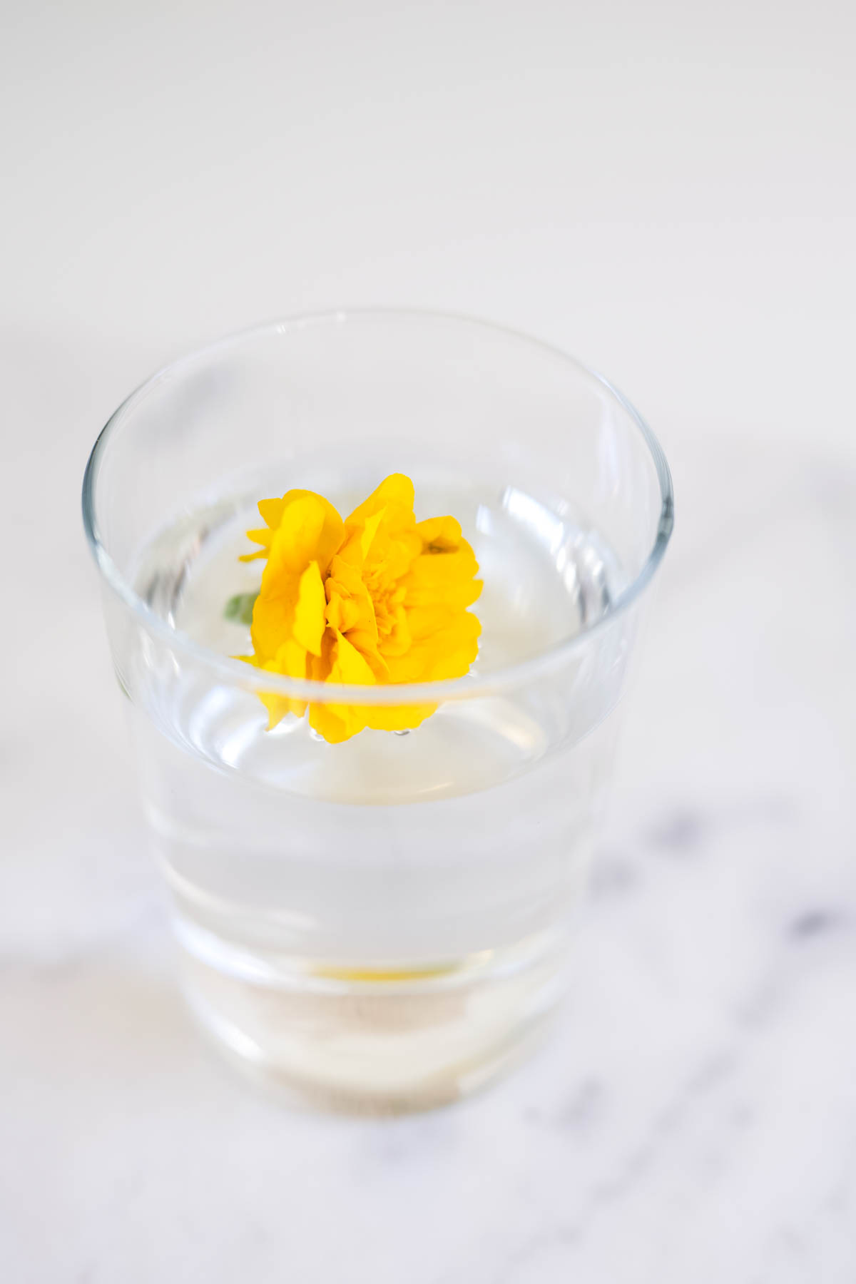 A glass of water on the counter with a flower in it.