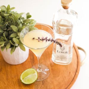 Close up of a martini glass with a tequila gimlet cocktail.