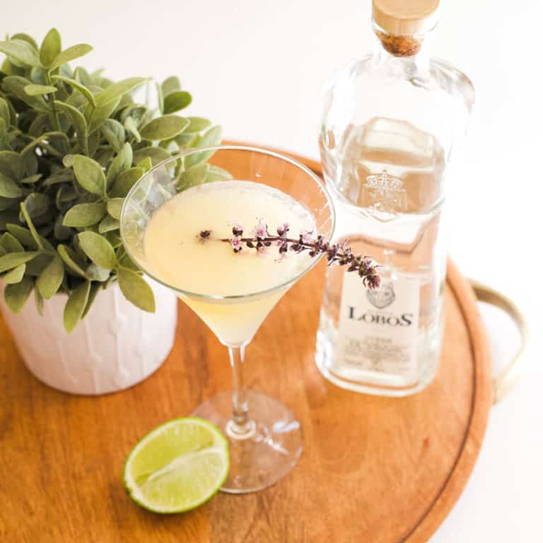 Refreshing Tequila Gimlet Recipe