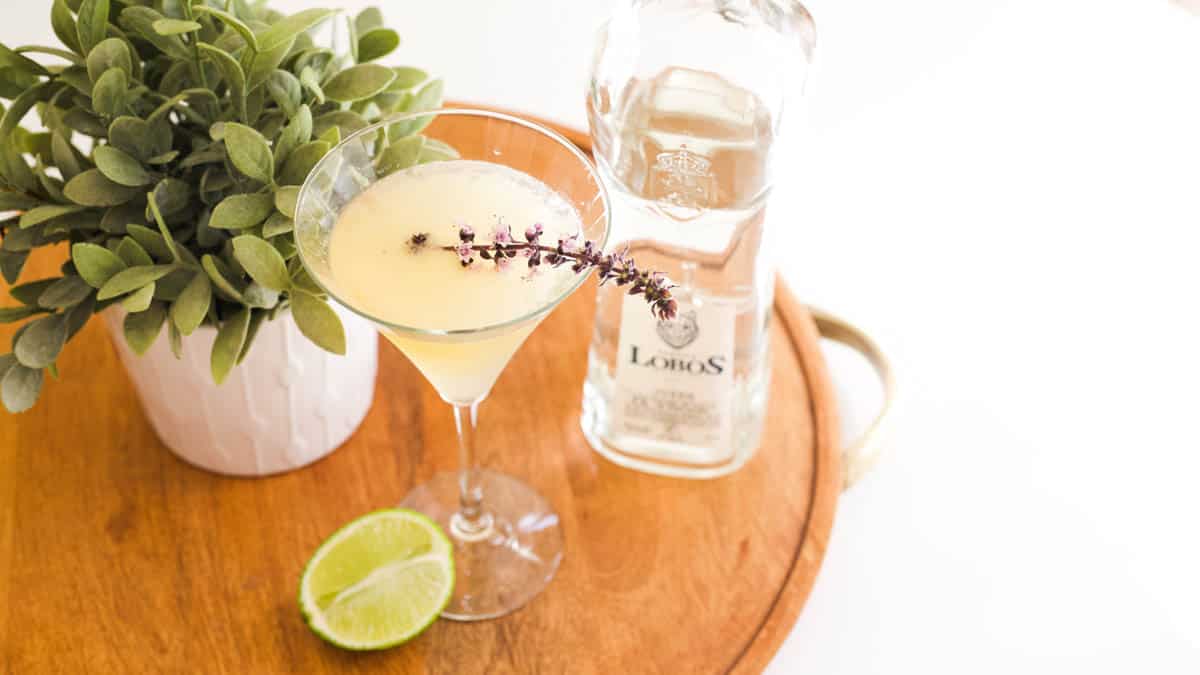 Tequila Gimlet Recipe Cupcakes and Cutlery