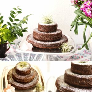 A square collage of three images featuring a three-tiered brownie cake topped with an air plant.