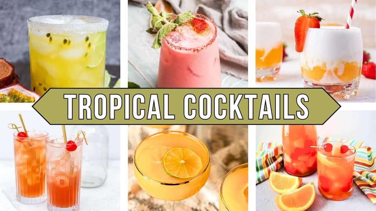 21 Tropical Cocktails for an IslandInspired Soirée Cupcakes and Cutlery
