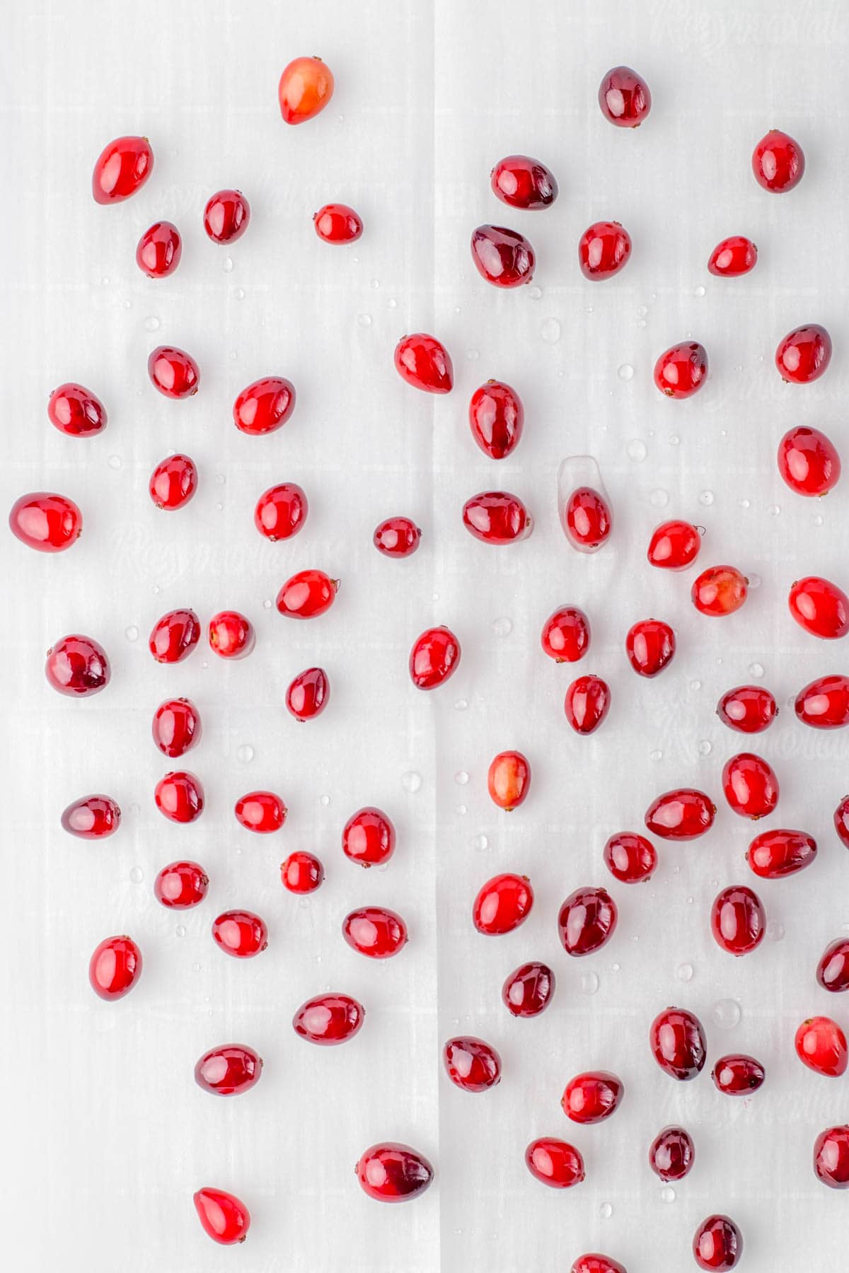 Fresh cranberries on a cookie sheet lined with parchment paper.