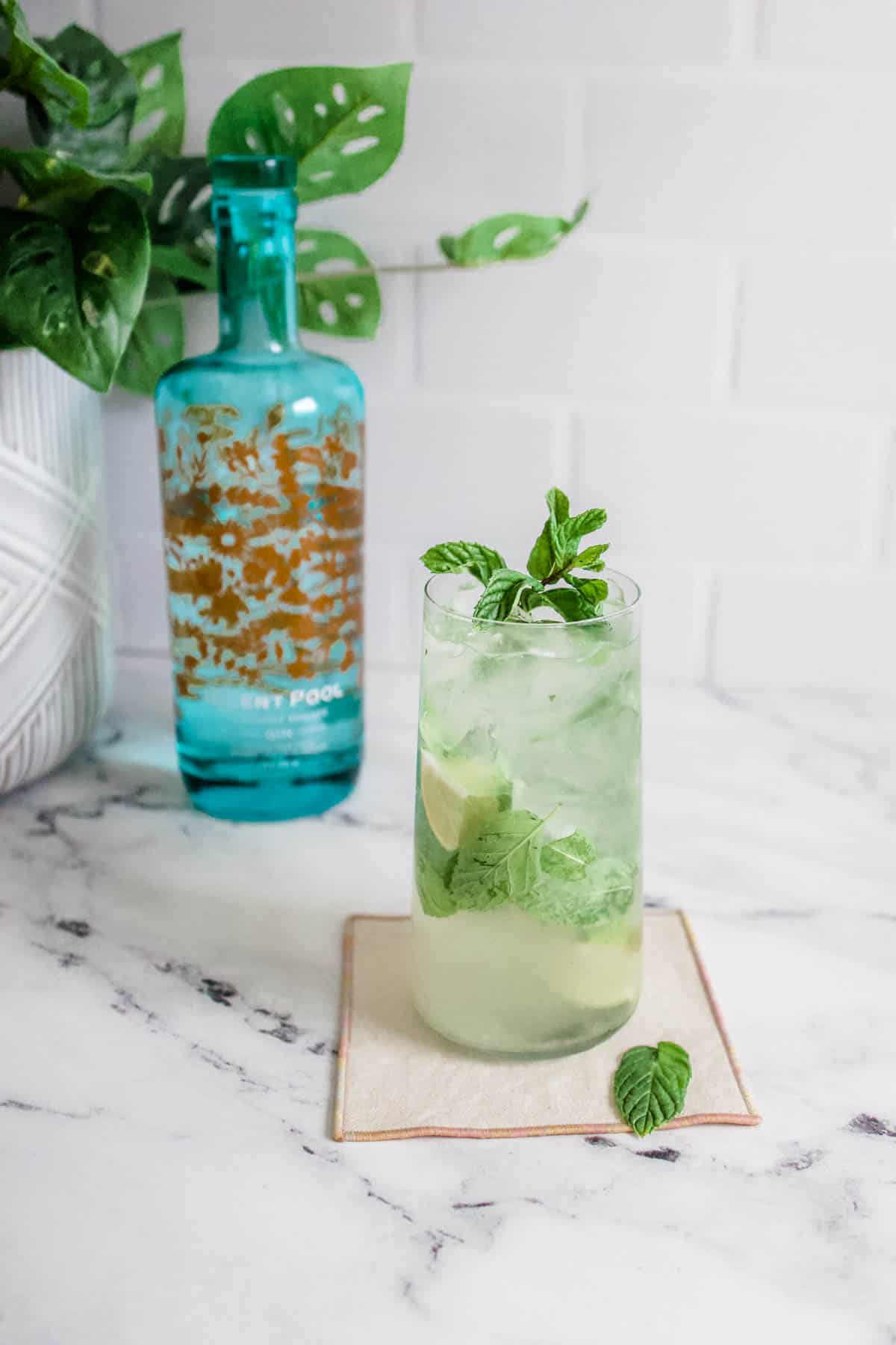 Mojito with garnish Mojito garnished with a sprig of fresh mint with a bottle of gin and a houseplant in the background.