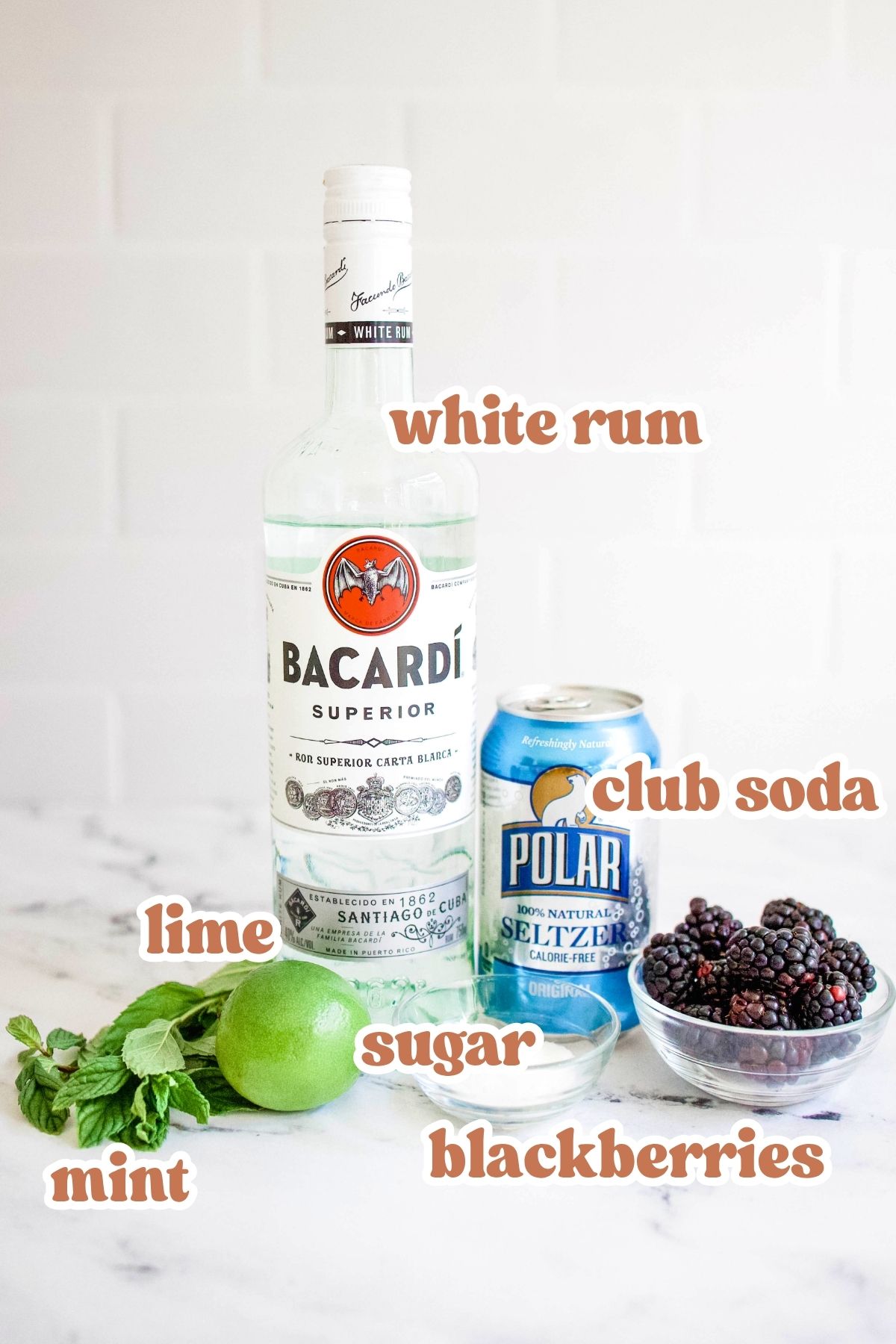 blackberry mojito ingredients Labeled ingredients to make a blackberry mojito.